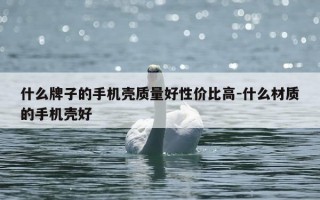 什么牌子的手机壳质量好性价比高-什么材质的手机壳好
