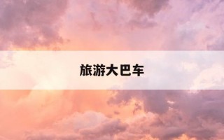 旅游大巴车-旅游大巴车一般多少个座