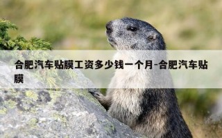 合肥汽车贴膜工资多少钱一个月-合肥汽车贴膜