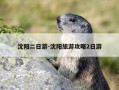 沈阳二日游-沈阳旅游攻略2日游