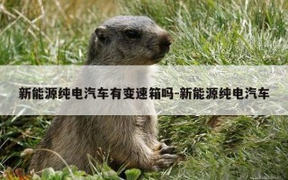 新能源纯电汽车有变速箱吗-新能源纯电汽车