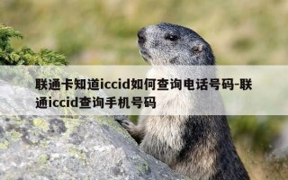 联通卡知道iccid如何查询电话号码-联通iccid查询手机号码