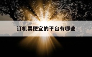 订机票便宜的平台有哪些-订机票比较便宜的网站