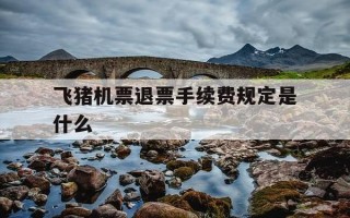 飞猪机票退票手续费规定是什么-飞猪机票退票规则