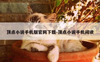 顶点小说手机版官网下载-顶点小说手机阅读