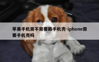 苹果手机需不需要戴手机壳-iphone需要手机壳吗