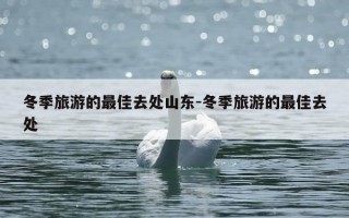 冬季旅游的最佳去处山东-冬季旅游的最佳去处