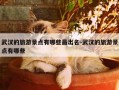 武汉的旅游景点有哪些最出名-武汉的旅游景点有哪些