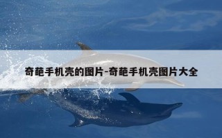 奇葩手机壳的图片-奇葩手机壳图片大全