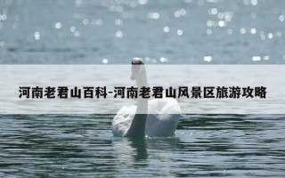 河南老君山百科-河南老君山风景区旅游攻略