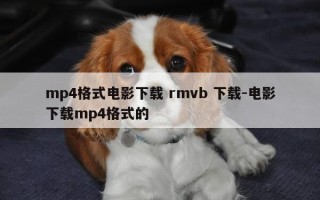 mp4格式电影下载 rmvb 下载-电影下载mp4格式的