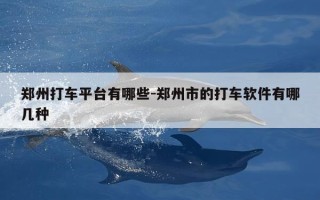 郑州打车平台有哪些-郑州市的打车软件有哪几种