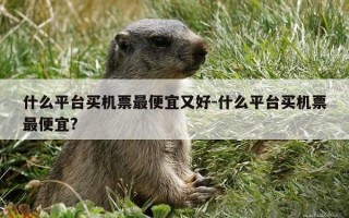 什么平台买机票最便宜又好-什么平台买机票最便宜?