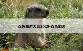百色旅游大会2025-百色旅游