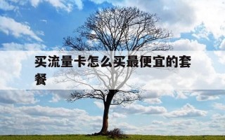 买流量卡怎么买最便宜的套餐-怎么买流量卡不被坑