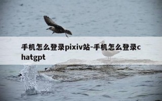 手机怎么登录pixiv站-手机怎么登录chatgpt