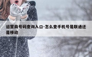 运营商号码查询入口-怎么查手机号是联通还是移动