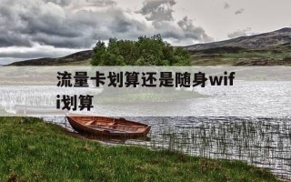 流量卡划算还是随身wifi划算-流量卡随身wifi可以用吗