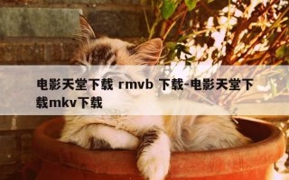 电影天堂下载 rmvb 下载-电影天堂下载mkv下载