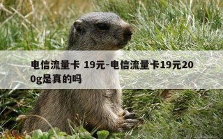 电信流量卡 19元-电信流量卡19元200g是真的吗