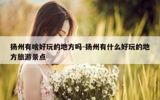 扬州有啥好玩的地方吗-扬州有什么好玩的地方旅游景点