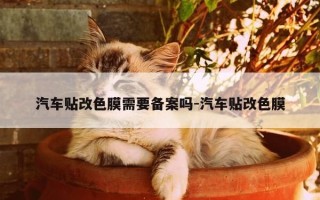 汽车贴改色膜需要备案吗-汽车贴改色膜