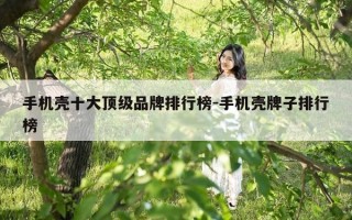 手机壳十大顶级品牌排行榜-手机壳牌子排行榜