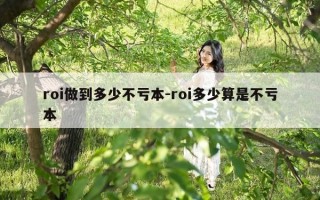 roi做到多少不亏本-roi多少算是不亏本