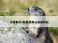 凤凰集村-新集凤凰山旅游景区