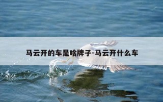 马云开的车是啥牌子-马云开什么车