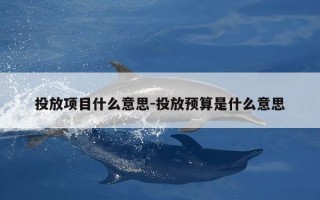 投放项目什么意思-投放预算是什么意思