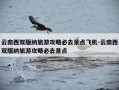 云南西双版纳旅游攻略必去景点飞机-云南西双版纳旅游攻略必去景点
