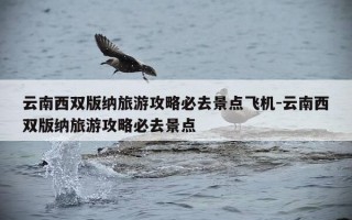 云南西双版纳旅游攻略必去景点飞机-云南西双版纳旅游攻略必去景点