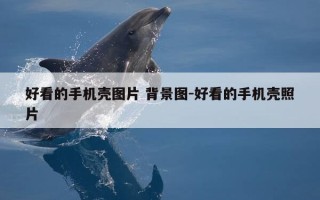 好看的手机壳图片 背景图-好看的手机壳照片