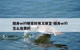 随身wifi哪家好用又便宜-随身wifi怎么收费的