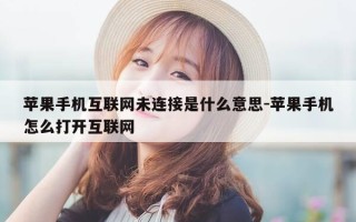 苹果手机互联网未连接是什么意思-苹果手机怎么打开互联网