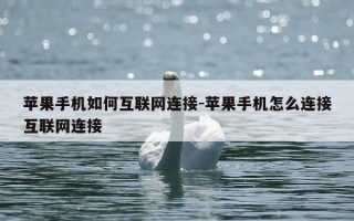 苹果手机如何互联网连接-苹果手机怎么连接互联网连接