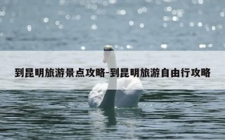 到昆明旅游景点攻略-到昆明旅游自由行攻略