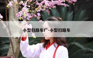 小型扫路车厂-小型扫路车