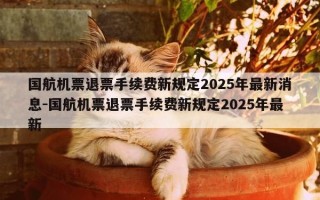 国航机票退票手续费新规定2025年最新消息-国航机票退票手续费新规定2025年最新