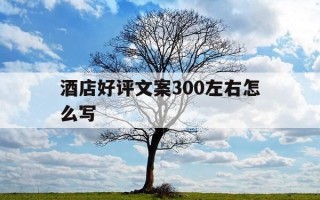 酒店好评文案300左右怎么写-酒店好评怎么写30字