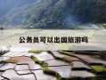 公务员可以出国旅游吗-国家公务员可以出国旅游吗