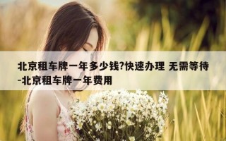 北京租车牌一年多少钱?快速办理 无需等待-北京租车牌一年费用