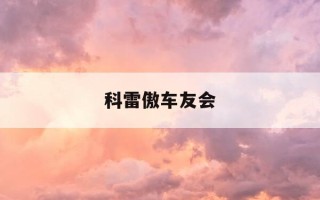 科雷傲车友会-科雷傲车窗升降器拆解