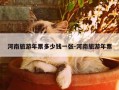 河南旅游年票多少钱一张-河南旅游年票