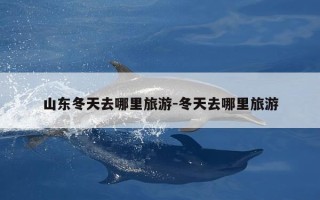 山东冬天去哪里旅游-冬天去哪里旅游