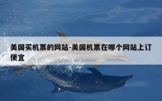 美国买机票的网站-美国机票在哪个网站上订便宜