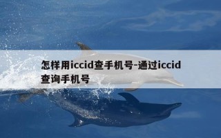 怎样用iccid查手机号-通过iccid查询手机号