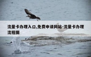 流量卡办理入口,免费申请网站-流量卡办理流程图