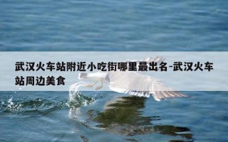 武汉火车站附近小吃街哪里最出名-武汉火车站周边美食